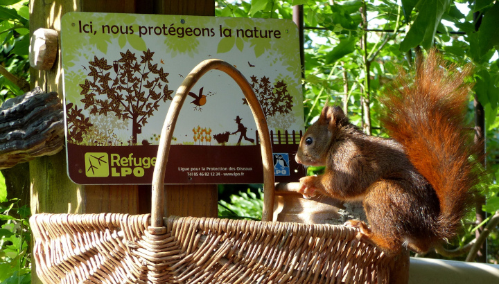 Visite d'un Refuge LPO